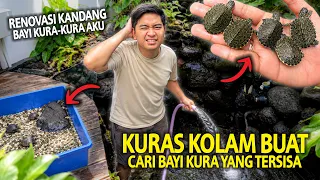 KURAS KOLAM BUAT CARI BAYI KURA-KURA YANG TERSISA! RENOVASI KANDANG SUPAYA LEBIH BAGUS!