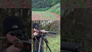 The Silent Assassin 22LR Subsonic Rabbit Hunting The Ultimate Rabbiting Round 