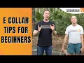 E Collar Training for Beginners