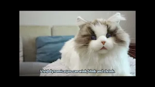 MetaCat Robotic Cat Companion For Seniors W Dementia Memory Loss Or PTSD Alzheimer S Store 