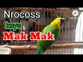 Download Lagu CAK RANTING GACOR || CUCAK RANTING GACOR _ PANCINGAN CUCAK RANTING,, Download Lagu CAK RANTING GACOR || CUCAK RANTING GACOR _ PANCINGAN CUCAK RANTING,,