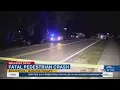 Crash kills pedestrian in Manatee County