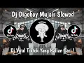 Download Lagu DJ DI GEBOY MUJAIR SLOWED VIRAL TIKTOK TERBARU 2025 YANG KALIAN CARI !