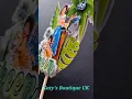 ENCANTO 3D cake topper by Katy s Boutique UK
