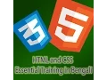 HTML CSS Essential Training - Part 3 Html Elements