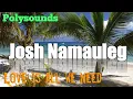 'Love Is all We Need'-Josh Namauleg (cover)