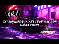 DJ AVANGARD X BELIEVE MASHUP (Slowed Reverb)