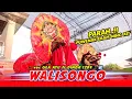 Download Lagu LAGU JARANAN ‼️ WALISONGO voc GEA AYU ft DINDA ROGO SAMBOYO PUTRO - SHAFIRA PRO AUDIO.