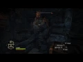 Dragons Dogma Assassin vs Strider climbing damage comparison