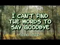 I Can t Find The Words to Say Goodbye - David Gates KARAOKE VERSION