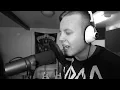 David Guetta ft. Sam Martin - Lovers On The Sun (metal cover by Svetocracy)