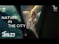 Download Lagu [SEOUL X V of BTS] Seoul Edition23 - Nature in the City (Official Video)