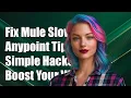 How to Fix Mule Anypoint Studio Running Slow on Simple Projects