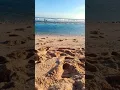 Lagu story wa di pantai,buat prank teman:(