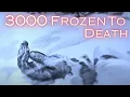 Download Lagu Sweden’s Frozen Catastrophe: The Death March