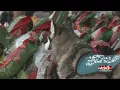 Sioux Falls pet food drive ongoing How you can help