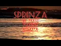 Download Lagu SPRINZA-Ku masih meragui cintamu (lirik)