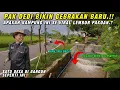 Download Lagu DI LUAR DUGAAN !! SATU DESA DI BANGUN SAMA PAK DEDI MULYADI BIAR SEPERTI LEMBUR PAKUAN