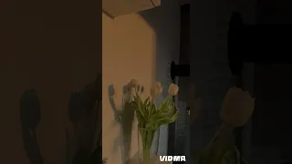 عبير نعمة بعدني بحبك بدون موسيقى 