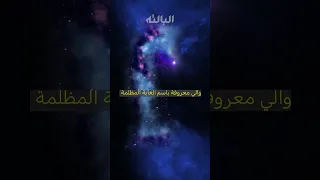 الغابة المظلمة Shorts 