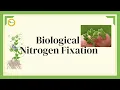 Biological Nitrogen Fixation