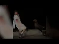 San Diego man pleads guilty to attacking protected sea lion