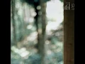 Understory