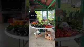 The travel plans for 2023 are absolutely insane from Florida to racing in Caribbean finishing Brazil