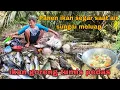 Lagu Rahasia Buru Ikan Malam Hari yang Jarang Diketahui - Lalu Dimasak dengan Resep Rahasia!