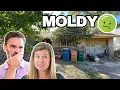 Flipping the Most Disgusting House We ve Ever Seen Complete Remodel