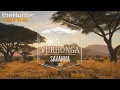 Download Lagu 2 Hours of Relaxing Vurhonga Savanna Music! | theHunter: Call of the Wild