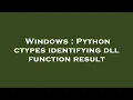 Windows Python ctypes identifying dll function result