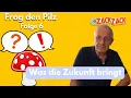 Download Lagu Welche neuen Inhalte kommen in Zukunft bei ZackZack?