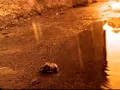 La Ley - Tejedores de Ilusión  (Video Oficial)
