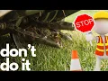 STOP AERATING YOUR LAWN How to and when you need to aerate The TRUTH from an EXPERT