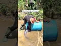 Download Lagu Perjalanan Saya ke Arogbo: Mendapatkan Ikan Pisau Liar Afrika dengan Cara Asli— Kembalinya Seoran...