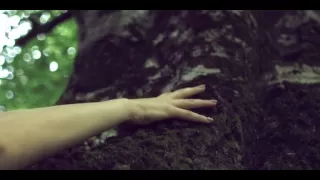 nexhmije pagarusha baresha