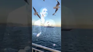 فضل شاكر تع يا حبيبي خدني وروح 