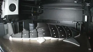 Whale Shark print on Bambu Lab P1S time lapse