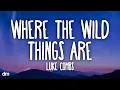Luke Combs - Where the Wild Things Are (Lyrics)