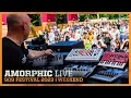 Download Lagu AMORPHIC [LIVE] at 909 FESTIVAL WEEKEND 2023 | AMSTERDAM