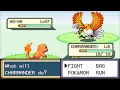 POKEMON FIRE RED CHEATS IN DISCRIPTION SHINY MEWTWO RARE CANDY MASTER BALL WALKTROUGH WALLS SHINY