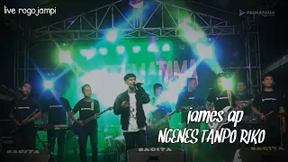 Download JAMES AP - NGENES TANPO RIKO (Reggae Koplo version) PRIMATAMA music MP3