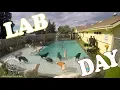 Lab Day at The Bone Adventure