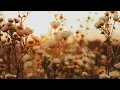 Wild A poem about never losing your true spirit
