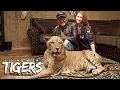 The Man Who Bought Joe Exotic s Zoo LIVING WITH TIGERS SEASON