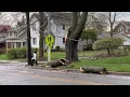 Severe storms cause damage in Ann Arbor