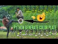Python Color Palette Generator Automation Course