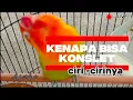 Download Lagu 🔴LIVE KENAPA BISA KONSLET DAN CIRI CIRINYA‼️