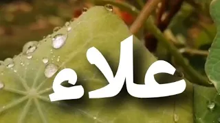 أغنية أسم علاء علاء 
